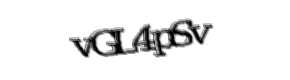 Security check image, please type the characters shown